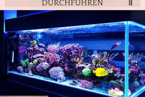 Warum wir an fremden Aquarien ke ine Reparaturen durchführen